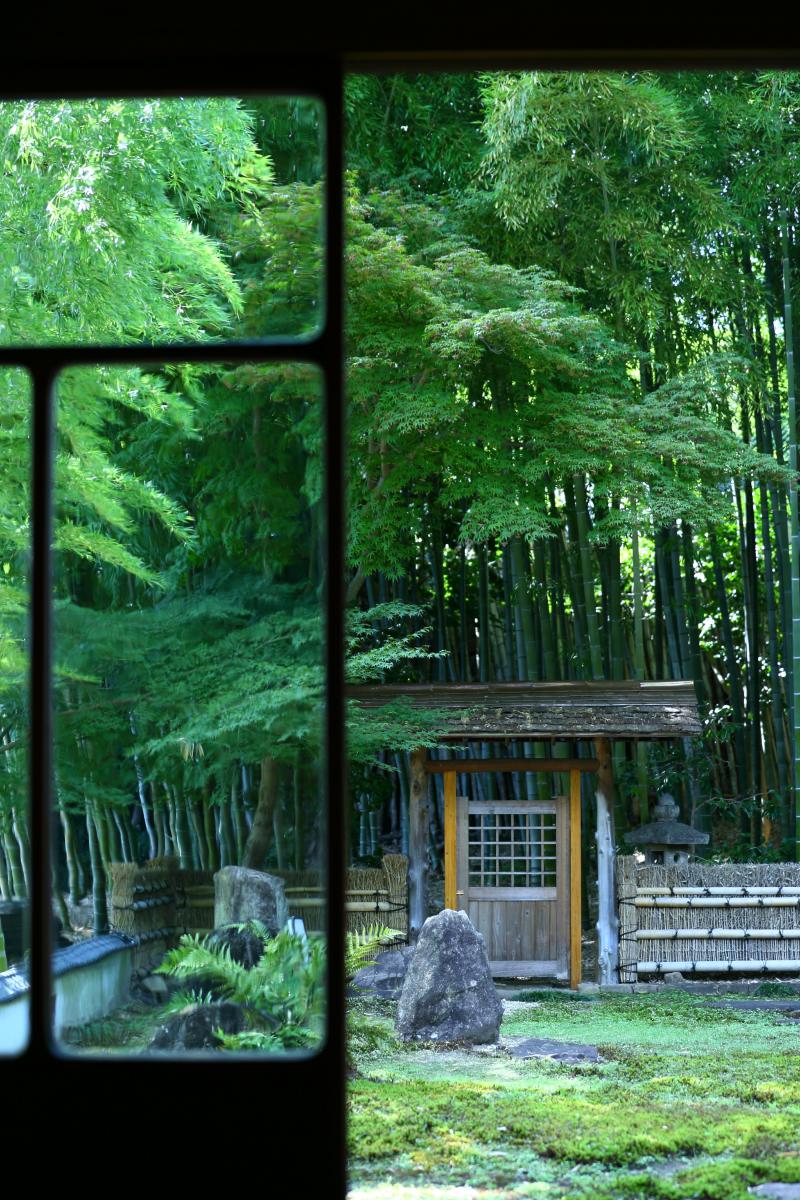 Yagoto-san Koushoji temple