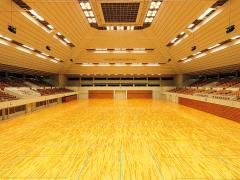 Okazaki Chuo Sogo Park General Gymnasium