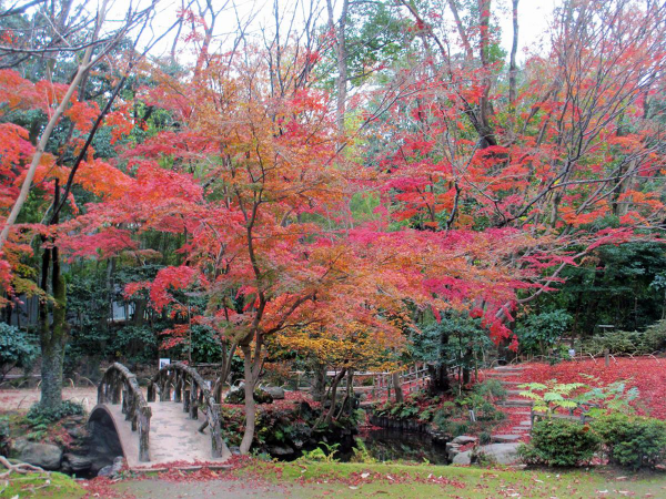 Yokiso Garden