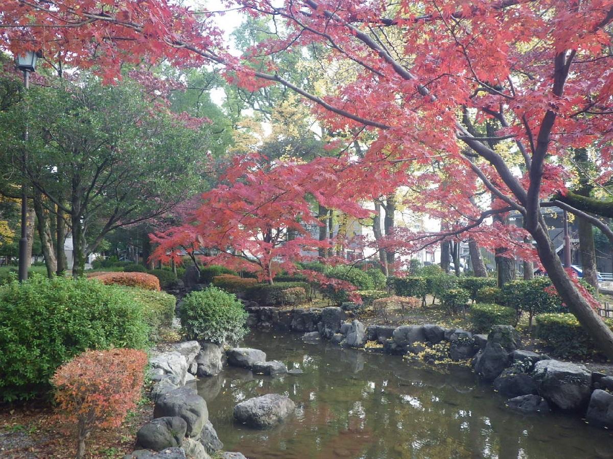 中村公園　秋の紅葉