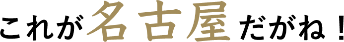 これが名古屋だがね！