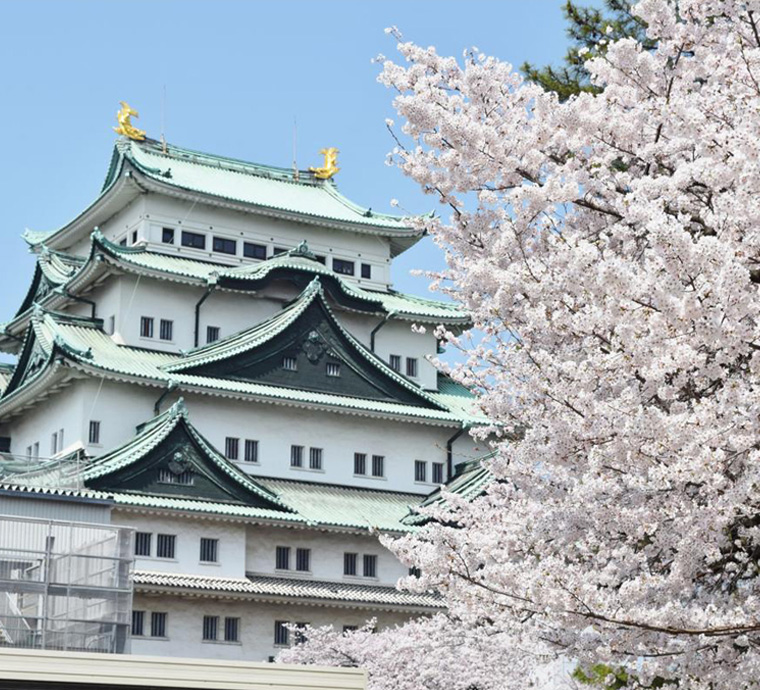 Thông tin cơ bản về Nagoya