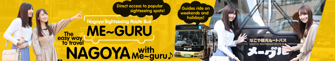 First-hand account of the Me~guru Bus