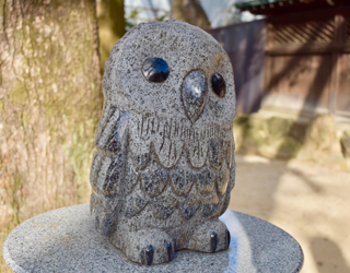 高牟神社　フクロウ