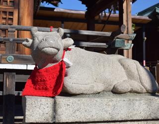 素盞男神社　牛