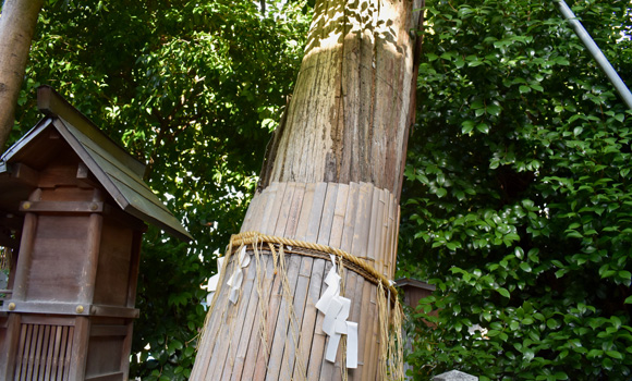 大杉社（伊奴神社境内）