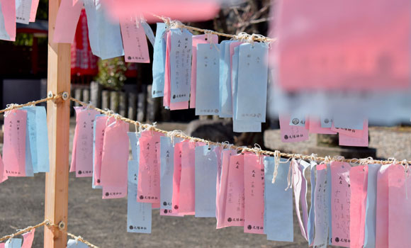 尾陽神社