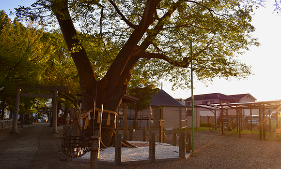 田光八幡社