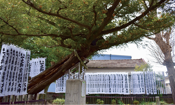 Ichino Gozen-sha Shrine
