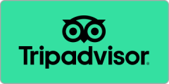 tripadvisor