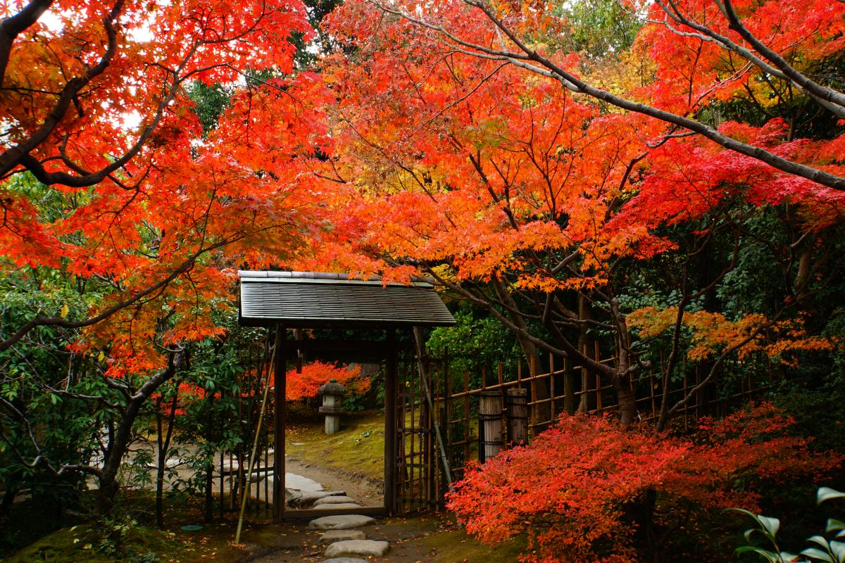 Shirotori Garden