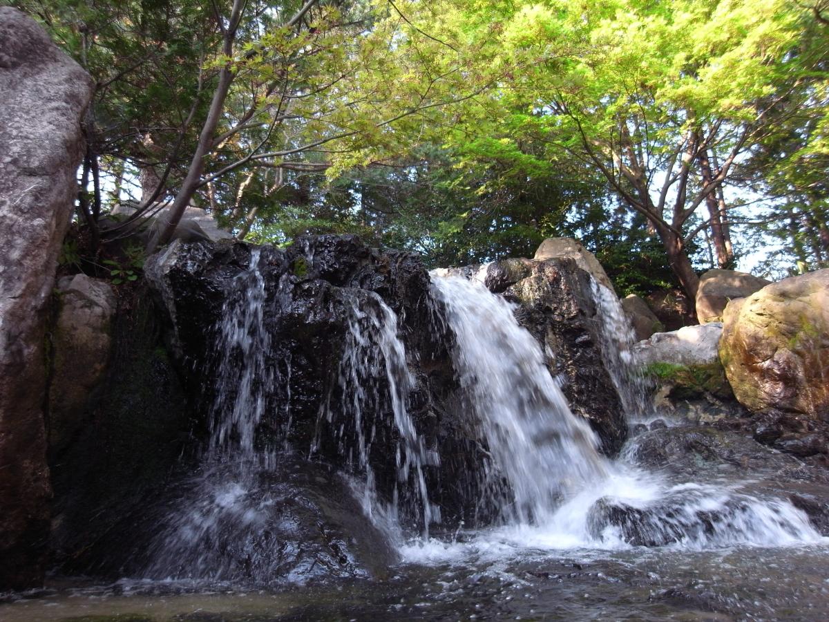 白鳥庭園　滝