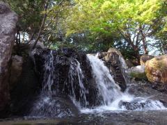 Shirotori Garden