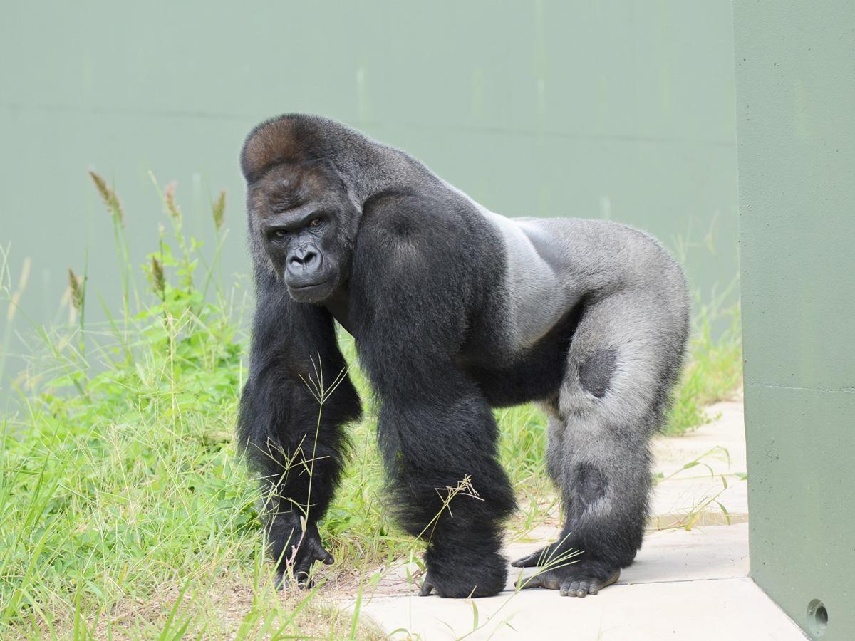 名古屋市東山動植物園