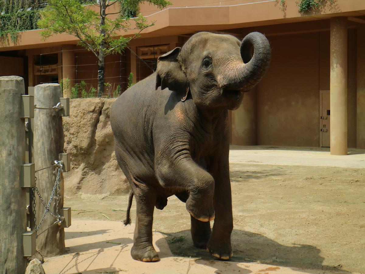 名古屋市東山動植物園