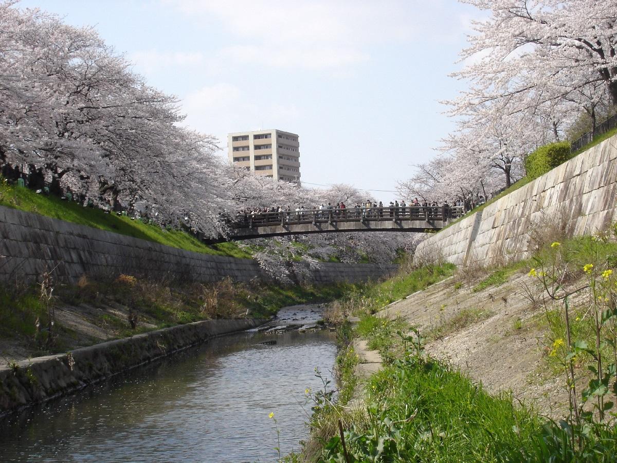 山崎川　親水広場