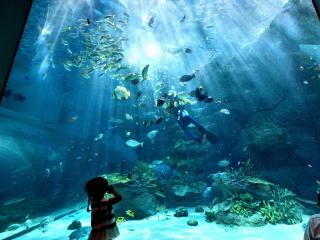 名古屋港水族館