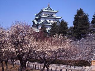 Lâu đài Nagoya và Kinshachi Yokocho