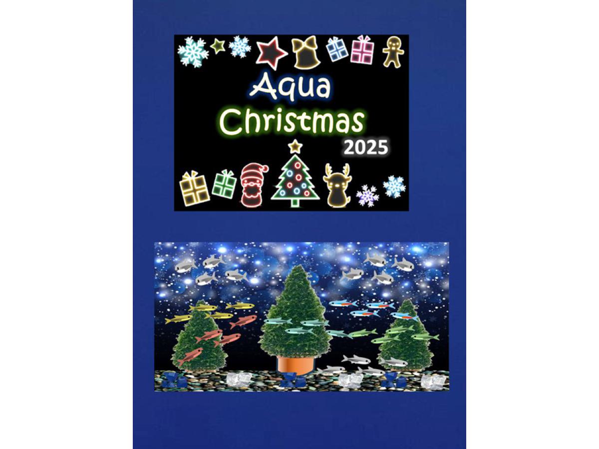 Sự kiện thủy cung Giáng sinh Công cộng Cảng Nagoya