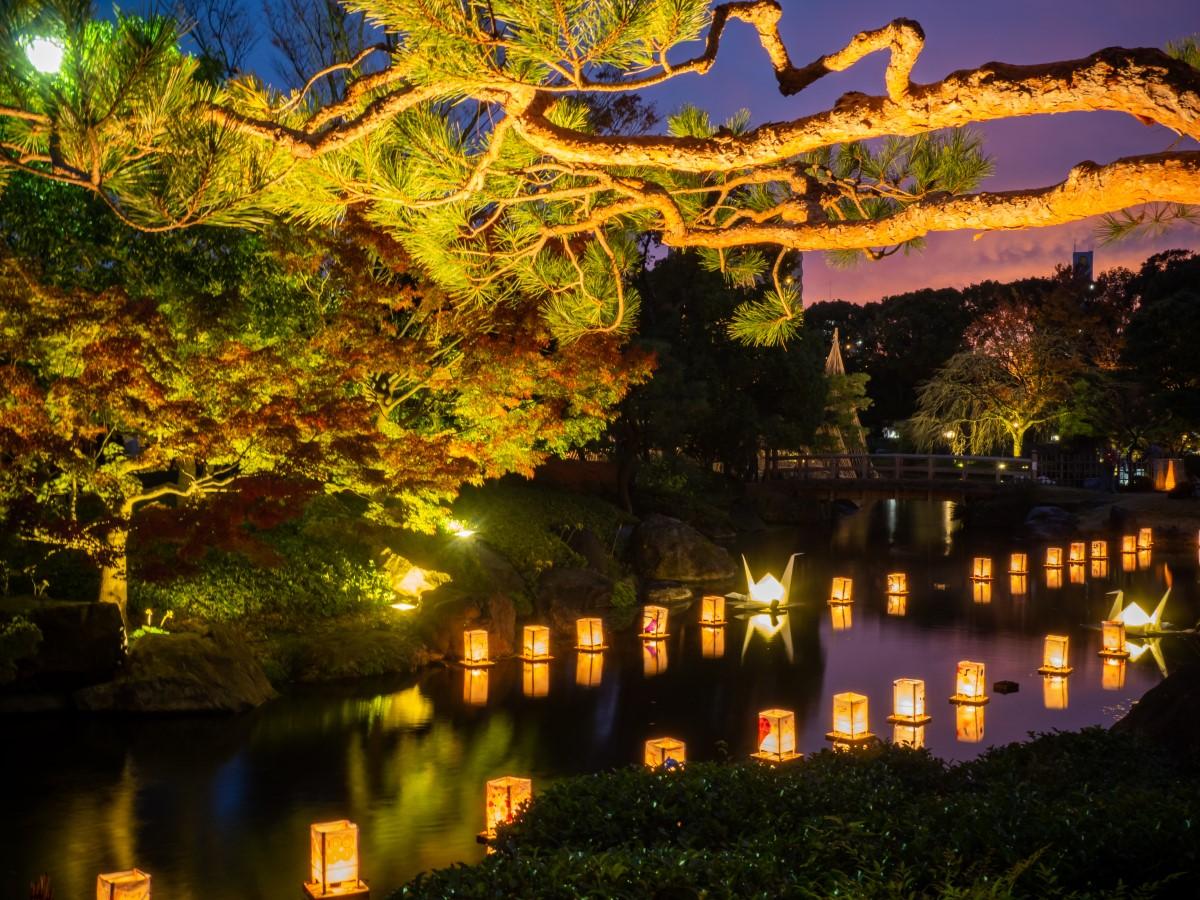 白鳥庭園 紅葉ライトアップ 公式 名古屋市観光情報 名古屋コンシェルジュ 白鳥庭園 紅葉ライトアップ 公式 名古屋市観光情報 名古屋コンシェルジュ