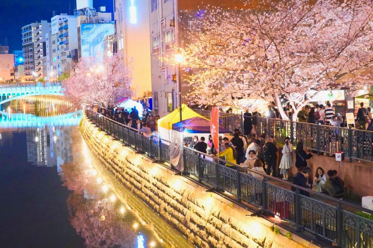 เทศกาลสาเก นายาบาชิโยอิจิ