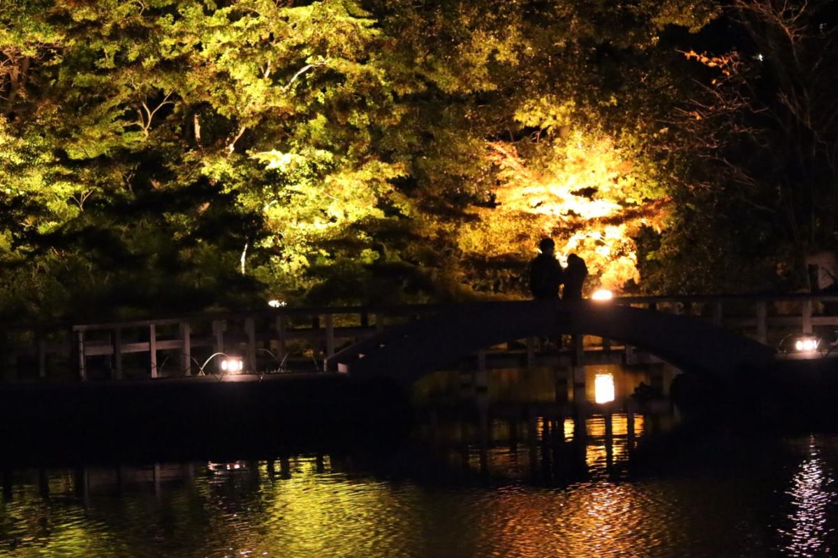 錦を纏う　徳川園紅葉祭