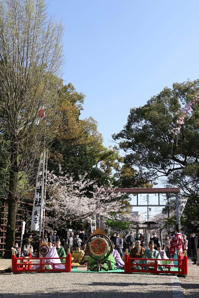 富部神社 観桜祭