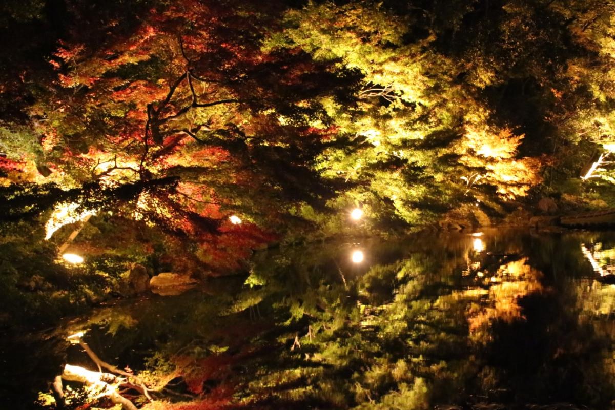 錦を纏う　徳川園紅葉祭