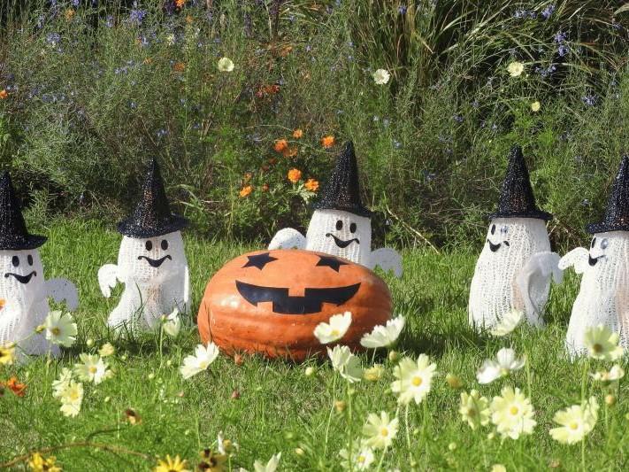 ハッピーフラワーハロウィン In ブルーボネット 公式 名古屋市観光情報 名古屋コンシェルジュ