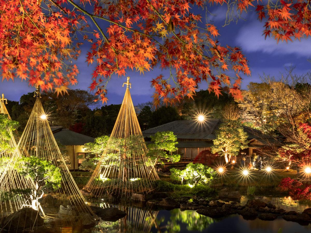 白鳥庭園　紅葉ライトアップ