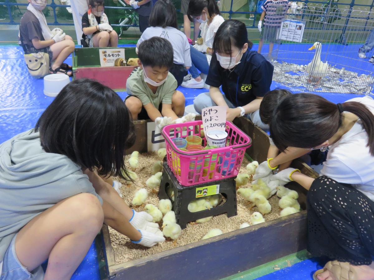 Pet博2023なごや | 【公式】名古屋市観光情報「名古屋コンシェルジュ」
