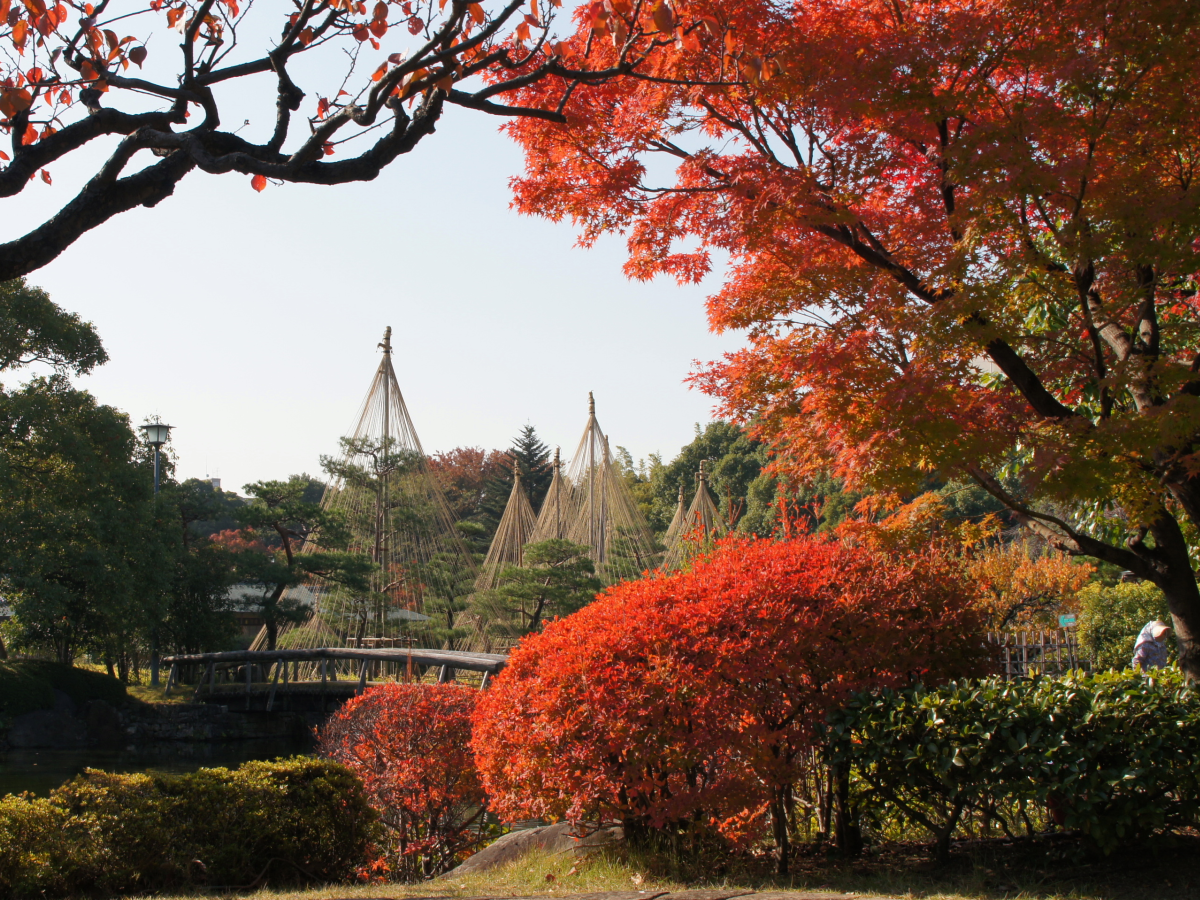 白鳥庭園