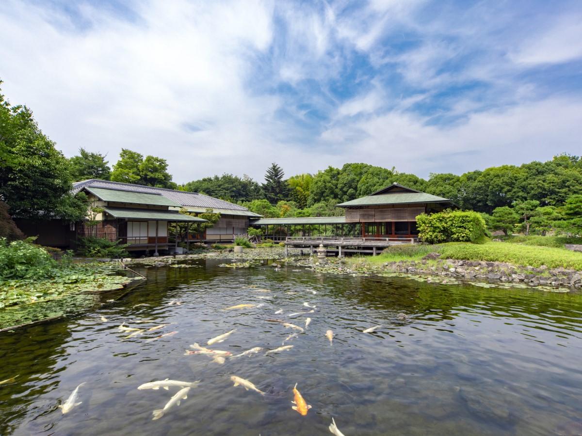 白鳥庭園　春浪漫