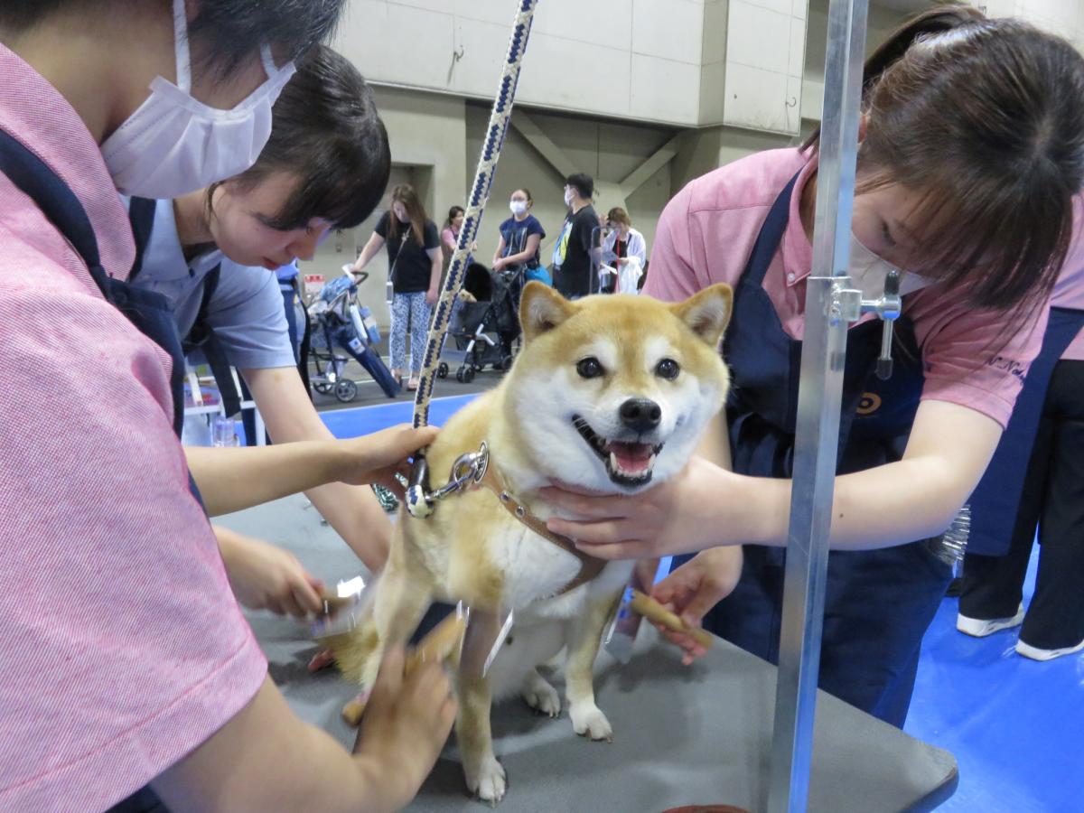 Pet博 なごや