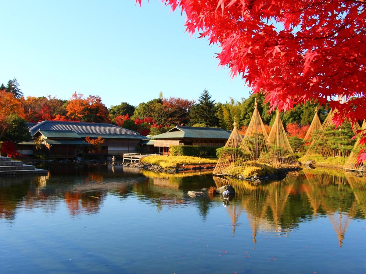 白鳥庭園　