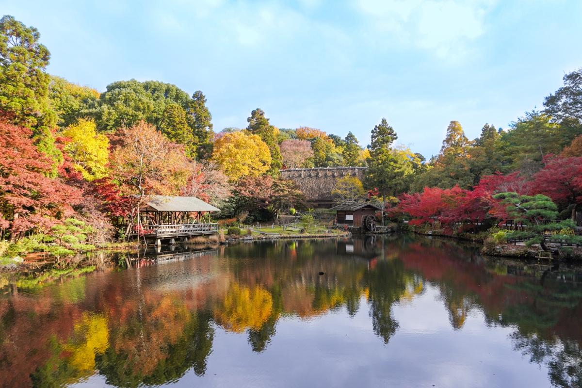東山動植物園もみじ狩り
