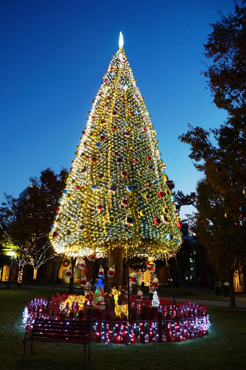 ノリタケの森 クリスマスガーデン21 公式 名古屋市観光情報 名古屋コンシェルジュ
