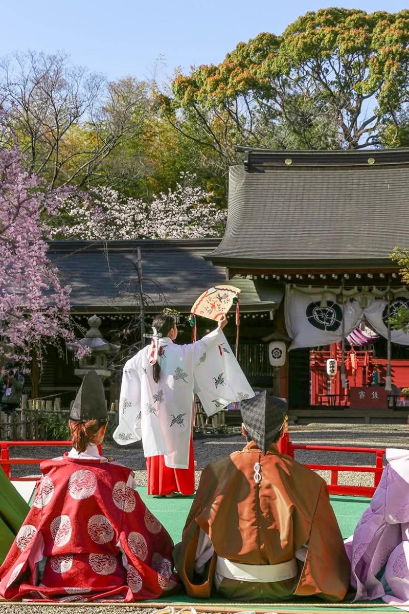 富部神社観桜祭④