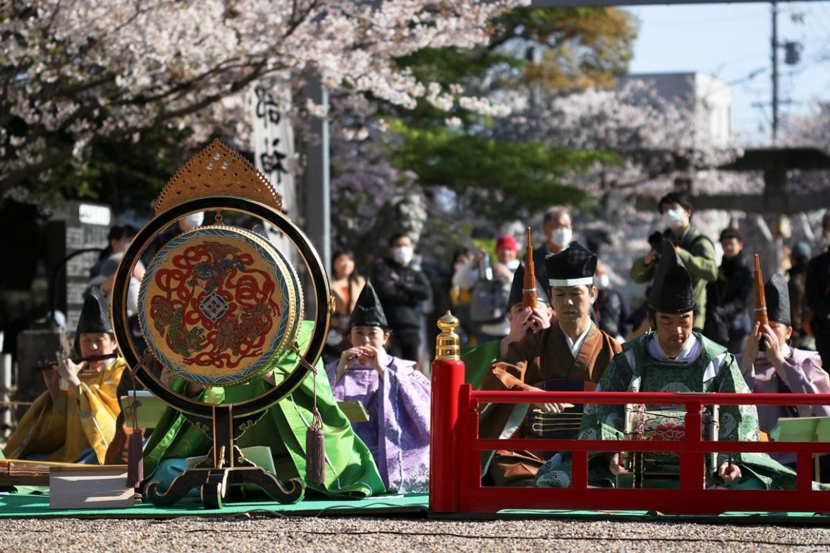 富部神社 観桜祭