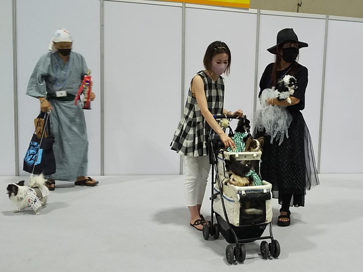 Pet博2023なごや | 【公式】名古屋市観光情報「名古屋コンシェルジュ」