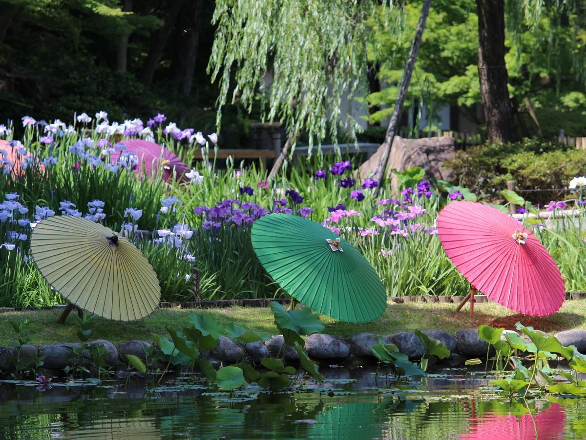 雨を聴く　徳川園の和傘の画像