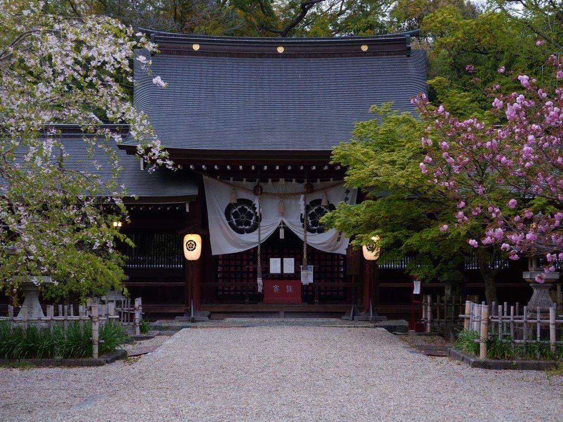 富部神社観桜祭①