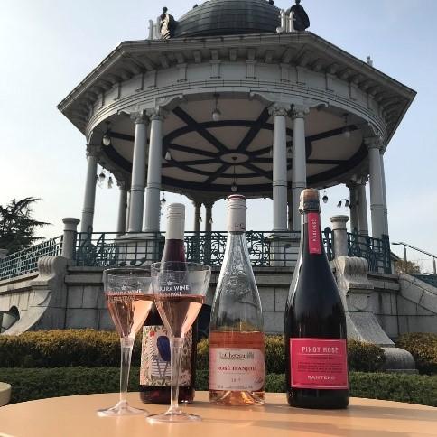 SAKURA WINE FESTIVAL 2023①