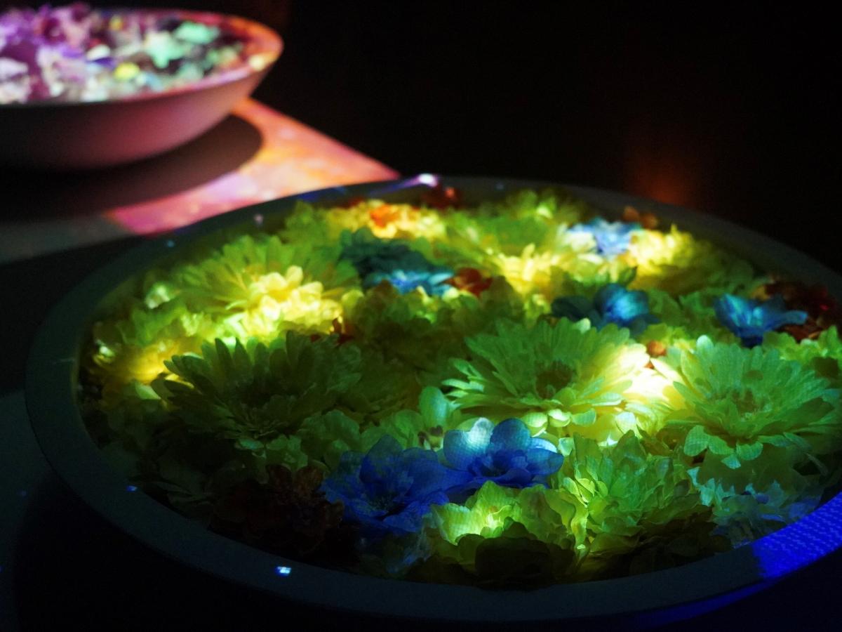 愛知県指定有形文化財 伊藤家住宅 × 花とデジタルアートの祭典　第3弾