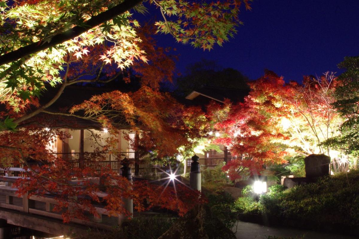 錦を纏う　徳川園紅葉祭