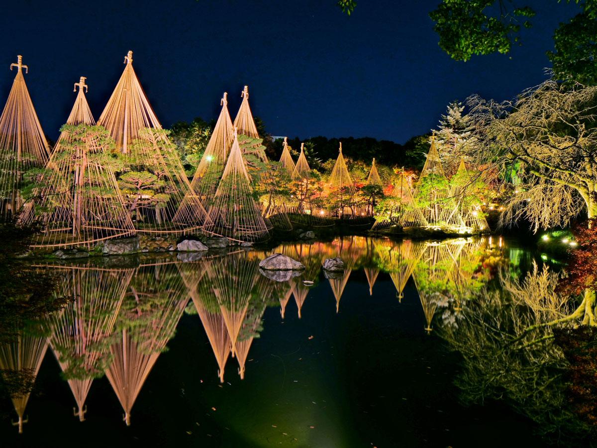 白鳥庭園　紅葉ライトアップ