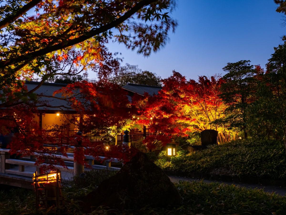 徳川園 夜間開園 公式 名古屋市観光情報 名古屋コンシェルジュ 徳川園 夜間開園 公式 名古屋市観光情報 名古屋コンシェルジュ