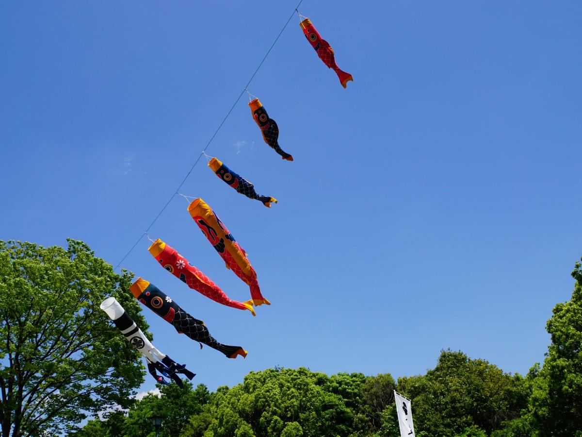 白鳥庭園　春浪漫 夢こいのぼり