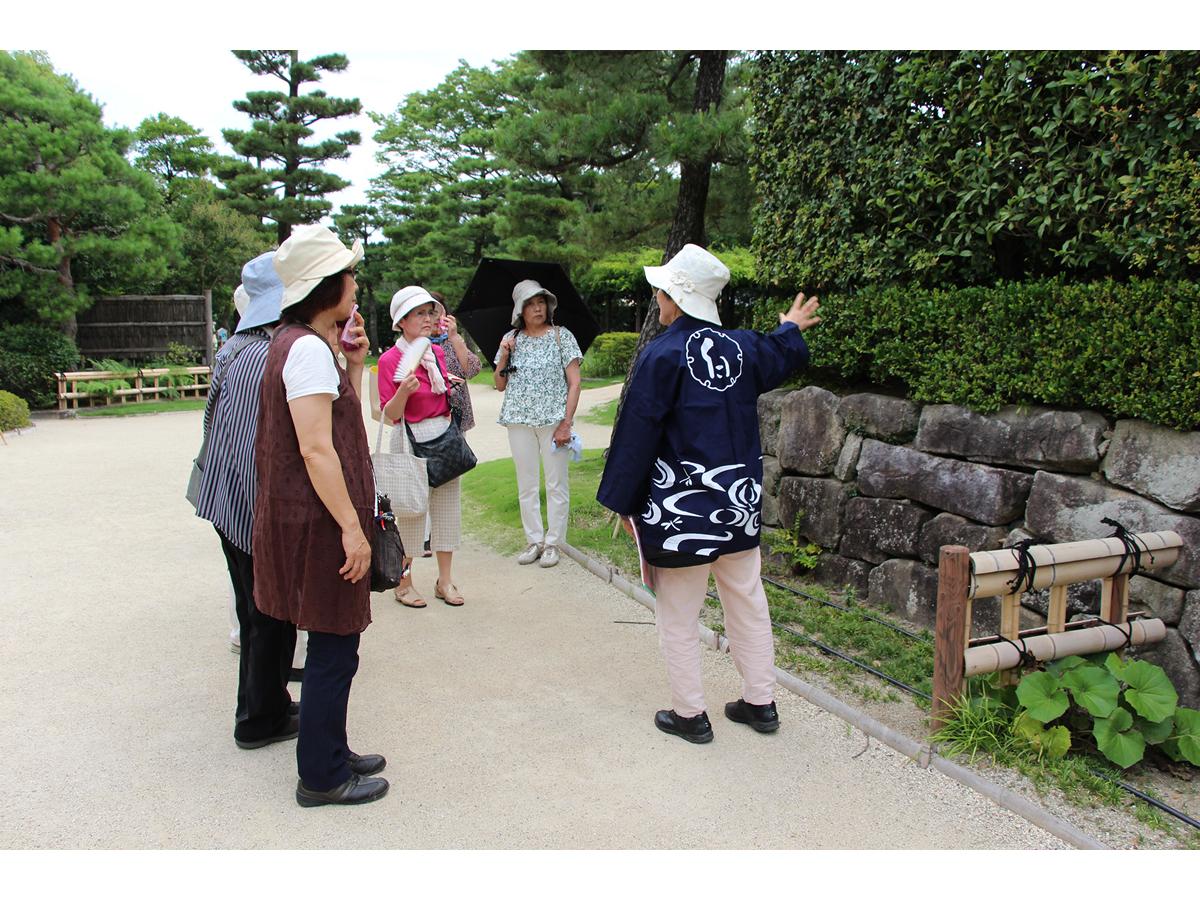 白鳥庭園　春浪漫