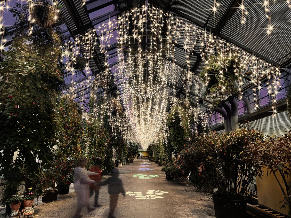 나바나노사토 일루미네이션 “지판구”